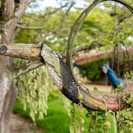 Oasis Hotel Spa グラヴァター エクステリア 写真